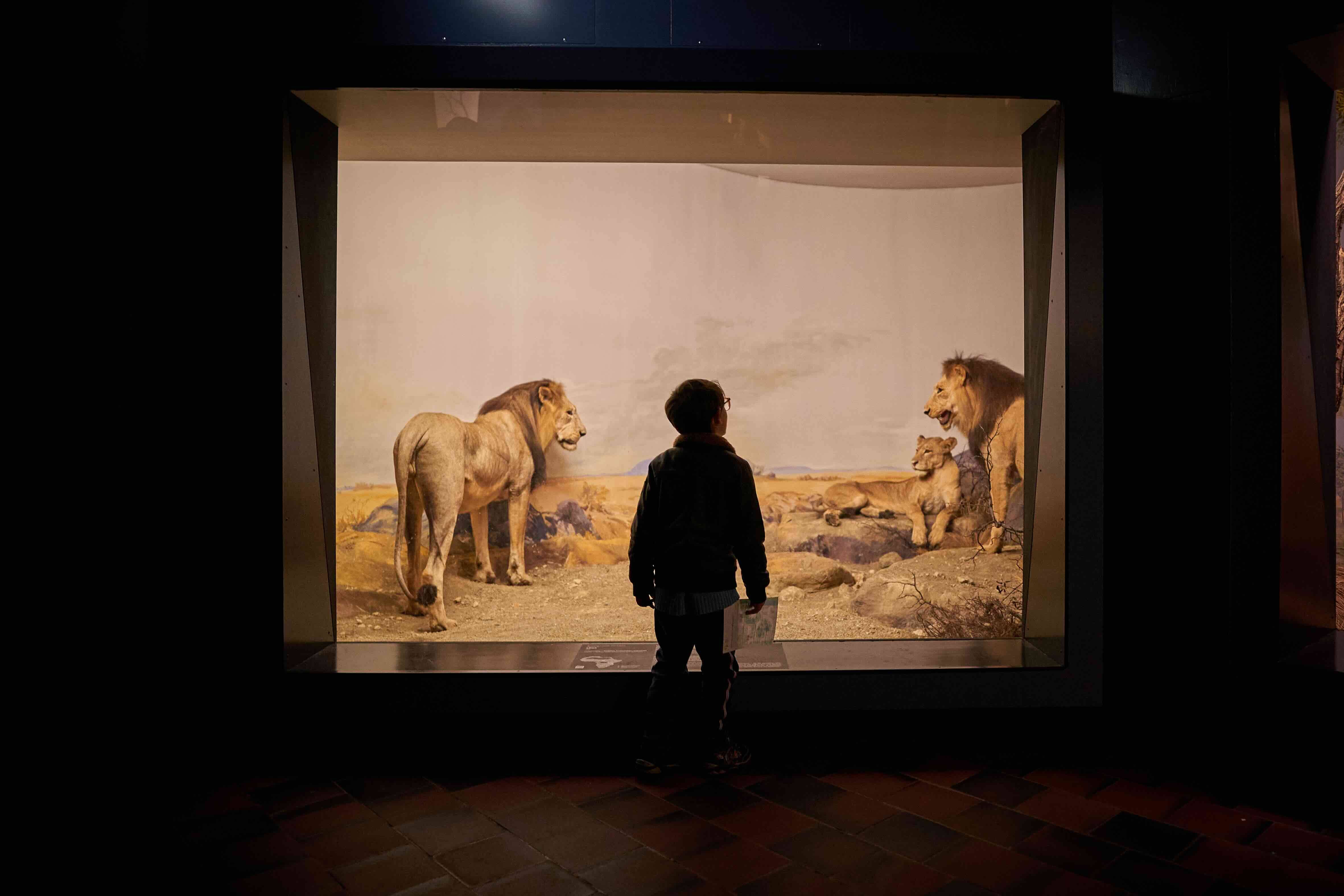 Nachts im Museum 