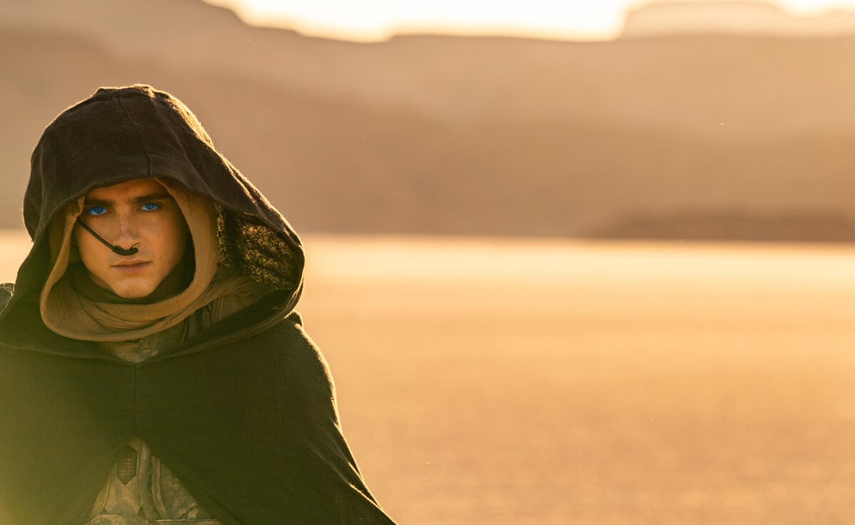 Das «Dune»-Fieber bricht aus