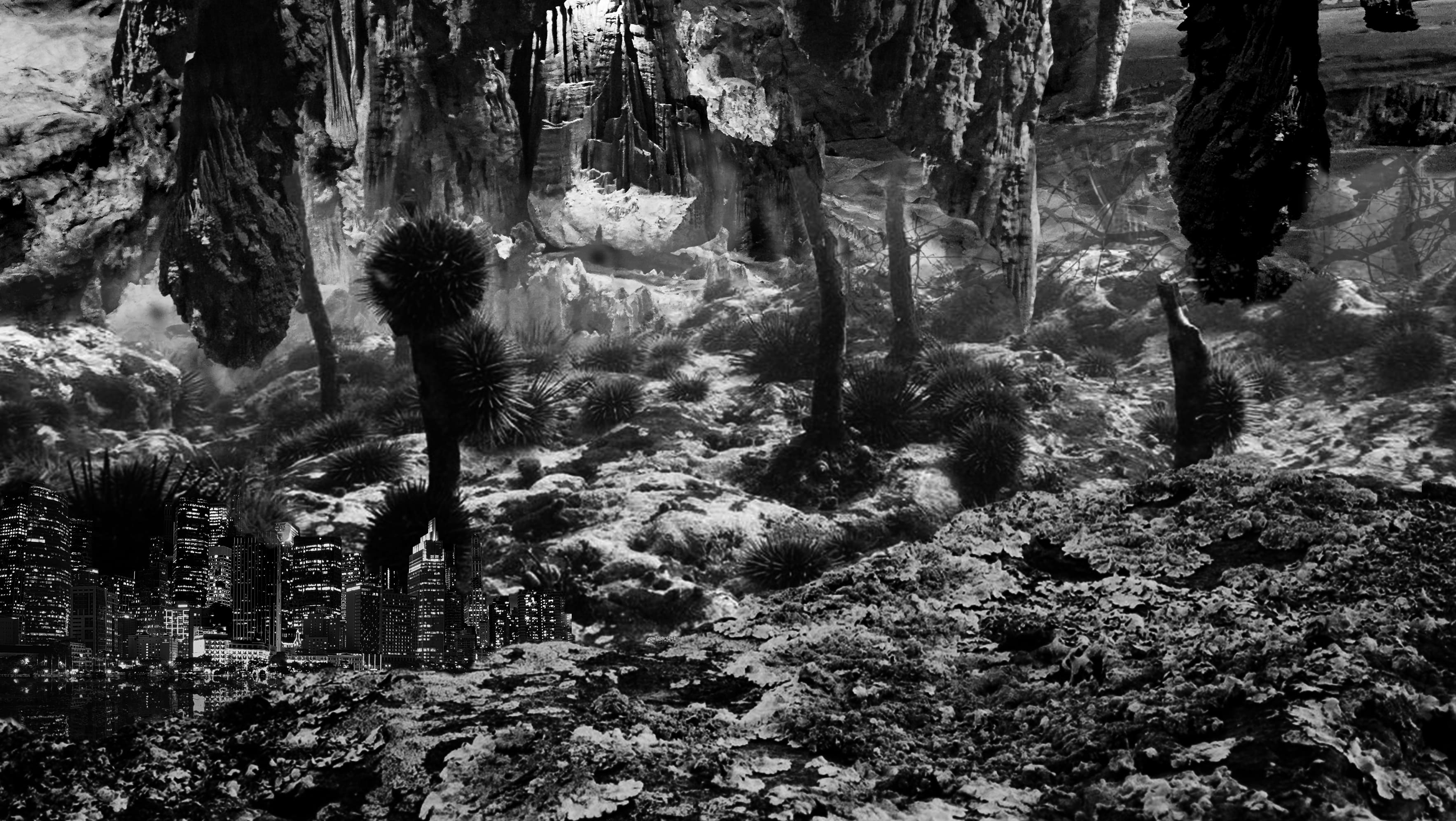 Image description